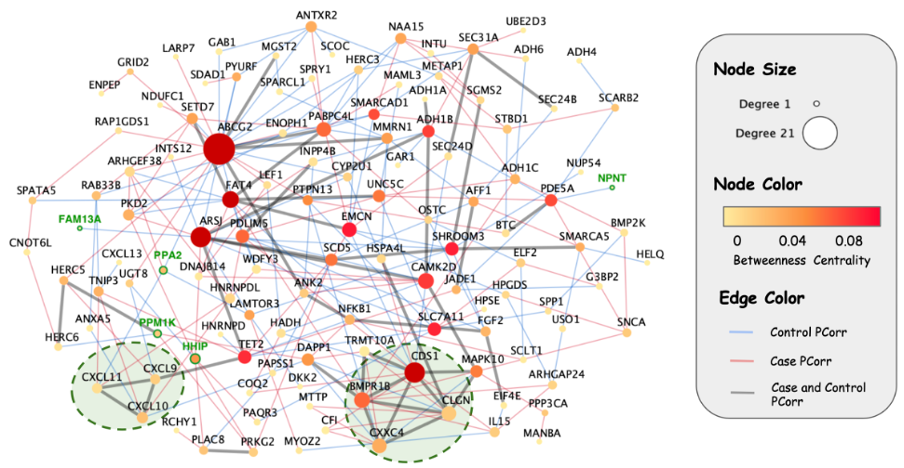 Partial Correlation Network, chromosome 4q region.