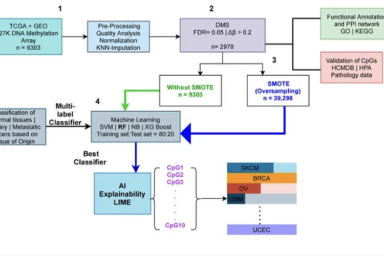 Machine Learning Approaches to Classify Primary and Metastatic Cancers Using Tissue of Origin-Based DNA Methylation Profiles